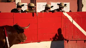 Los novillos de Reta protagonizan una entretenida tarde en Corella: las fotos del festejo