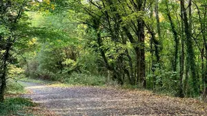 La Cendea de Cizur har&aacute; obras y arreglos en siete caminos que unen sus municipios