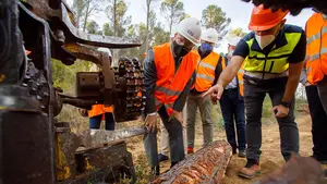 El bosque sostenible de Cáseda del que se extrae papel para elaborar bolsas reutilizables