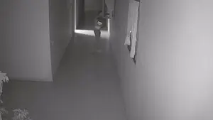 Arrestan a un vecino de Calahorra por asaltar una bodega de la Ribera y ocasionar graves daños