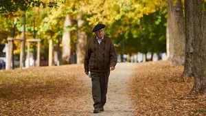 El nuevo bosque que Pamplona quiere plantar en la ciudad con más de 1.700 árboles