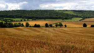 Agricultores y ganaderos navarros denuncian el "linchamiento" a su sector