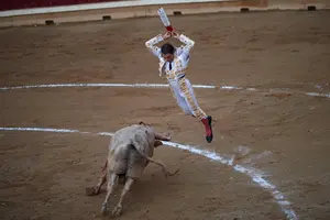 Tafalla vuelve a su plaza de toros: las imágenes de la corrida con toros de Prieto de la Cal