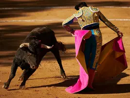 Diego García sale a hombros en Tafalla: las imágenes de la novillada matinal con hierro navarro