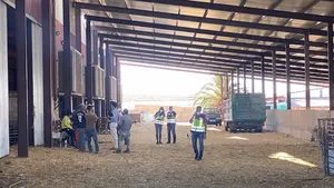 Detenido un ganadero cerca de Navarra por explotación laboral a cinco inmigrantes