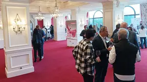 Los vinos navarros triunfan en Guipúzcoa en el primer salón de bodegas tras la Covid-19