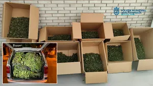 La furgoneta de la 'alegría' abandonada en la Rochapea contenía 57 kilos de marihuana