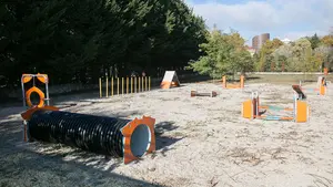 Pamplona estrena nueva zona 'deportiva' para perros: así es el primer circuito de agility