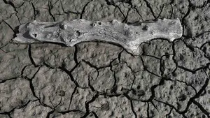 La ausencia de lluvias en octubre deja a los embalses navarros al 27% de su capacidad