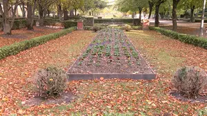 Las calles de Pamplona comienzan a florecer con casi 50.000 bulbos y flores de temporada