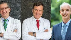 Tres investigadores de la Universidad de Navarra, entre los m&aacute;s citados del mundo