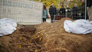 Acaban las catas para comprobar el estado y la evoluci&oacute;n de las ra&iacute;ces de los &aacute;rboles de Sarasate