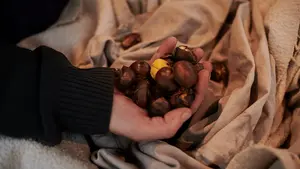 La novedad para este otoño en los puestos de venta de castañas en Pamplona: las ubicaciones