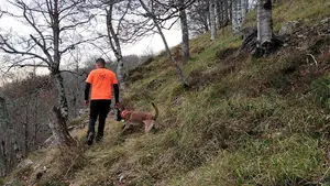 El detalle que ha obligado a recortar el dispositivo de b&uacute;squeda del hombre desaparecido en Navarra