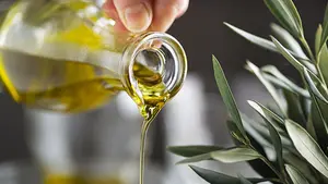 El mejor aceite de Jaén llega a Pamplona: tres días de programa y más de quince actividades