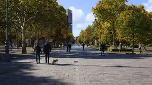 Las obras de reurbanizaci&oacute;n de una calle de Pamplona costar&aacute;n m&aacute;s de un mill&oacute;n de euros