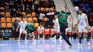 Anaitasuna se lleva los dos puntos con autoridad ante el colista Antequera de la Liga Asobal