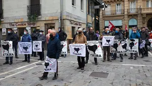 El balance anual de Covite: registrados 282 actos de apoyo a ETA, 53 de ellos en Navarra