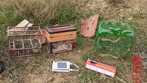 Denunciados en Navarra por cazar pájaros impregnando pegamento en las ramas de los árboles