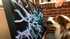 Lisa, la mujer que gana miles de euros vendiendo obras de arte pintadas por su perro