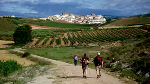 Una panorámica de un pueblo navarro da la vuelta al mundo para promocionar el Camino de Santiago
