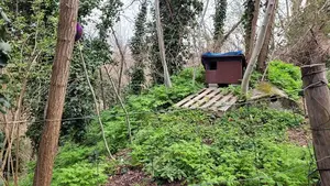 El Ayuntamiento impulsará el programa para controlar la población felina en Pamplona