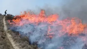 Sofocados tres incendios causados por rayos en Montejurra, Nazar y Legarda