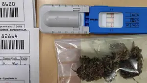 Detenida en Peralta con una orden de búsqueda, conduciendo sin carnet y positivo en drogas