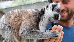 Novedades en Sendaviva: fecha de apertura, recintos y espectáculos inéditos