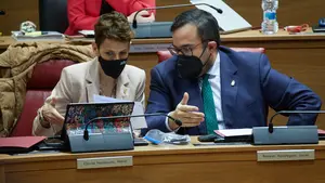 El Gobierno foral sigue sin decidir qué medidas tomar frente a la crisis económica