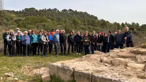 Recuperado a su paso por Navarra un "tramo desaparecido" del Camino de Santiago