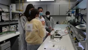 La Universidad de Navarra aumenta las solicitudes de admisión para el curso 2022-23