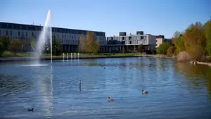 El juez deja en libertad provisional al detenido en Sarriguren por ataque con arma blanca