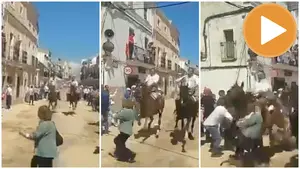 Heridas de gravedad una niña y su abuela tras ser arrolladas por un caballo en Extremadura