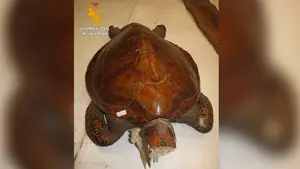 La Guardia Civil de Navarra localiza restos de animales protegidos en un almacén