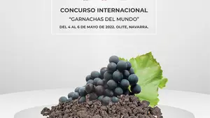 Olite, sede de la décima edición del concurso internacional “Garnachas del Mundo”