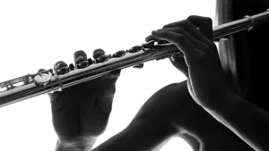 Siete estudiantes del Conservatorio Superior de Navarra participan en una Orquesta Europea