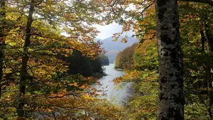 Selva de Irati: los 5 rincones más espectaculares del gran espacio natural