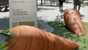 Una zanahoria gigante en Carlos III: la gira de los alimentos 'extra grandes' por toda Navarra
