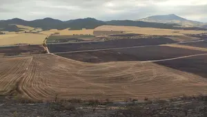 Empieza a conocerse la magnitud del desastre: solo en Los Arcos se han quemado 306 hectáreas