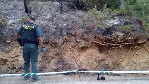 La Guardia Civil detiene al autor de uno de los incendios declarados estos días en Navarra