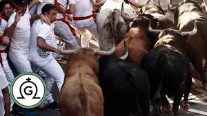 Encierro del 8 de julio: regresa la nobleza de Fuente Ymbro para la segunda carrera del año