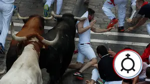 Encierro del 10 de julio: La Palmosilla vuelve a San Ferm&iacute;n tras su veloc&iacute;simo debut