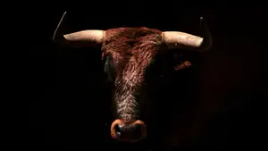 Muere un carnicero corneado por un toro devuelto a los corrales de la plaza de toros