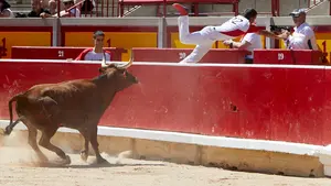 San Fermín | Las vacas de Marcén sorprenden en el Gran Concurso Nacional de Anillas