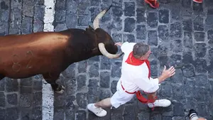 Encierros de San Fermín 2023 en Pamplona: horario, ganaderías y dónde verlos en directo