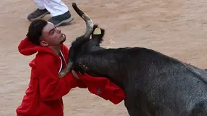 San Fermín | Una vaquilla asesta un golpe tremendo a un mozo en la plaza