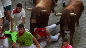 San Fermín | Un 'divino', engullido en el encierro por dos toros colorados de Miura en el callejón
