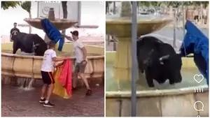 VÍDEO| Un toro se mete en una fuente durante un encierro en Ribaforada