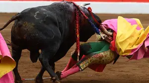 Terrible cogida a Dávila Miura en la corrida por los 25 años de su alternativa como torero